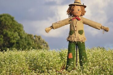 GREAT IDEA: Display a scarecrow in December to scare away the pandemic!