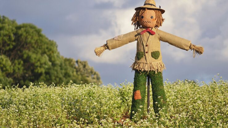 GREAT IDEA: Display a scarecrow in December to scare away the pandemic!