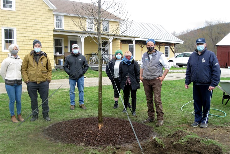 Tom Ingersoll’s workshop at the GBHS Farmstead featured our new elm tree!
